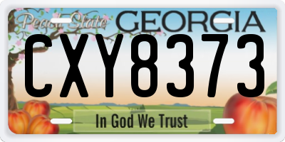 GA license plate CXY8373