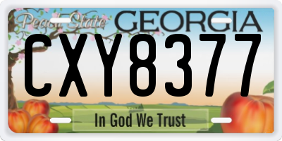 GA license plate CXY8377