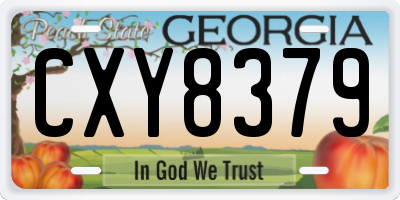 GA license plate CXY8379