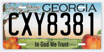 GA license plate CXY8381