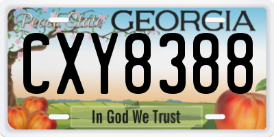 GA license plate CXY8388