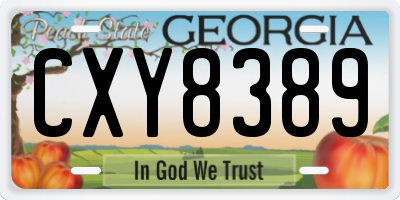 GA license plate CXY8389