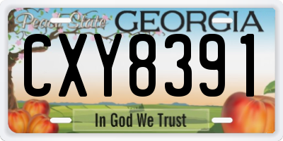 GA license plate CXY8391