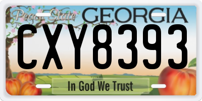 GA license plate CXY8393