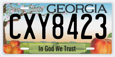 GA license plate CXY8423