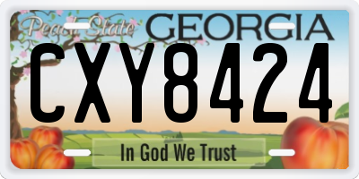 GA license plate CXY8424