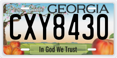 GA license plate CXY8430