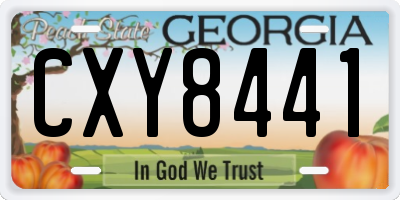 GA license plate CXY8441