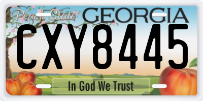 GA license plate CXY8445