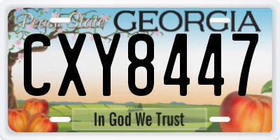 GA license plate CXY8447