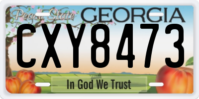 GA license plate CXY8473