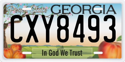 GA license plate CXY8493