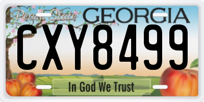 GA license plate CXY8499