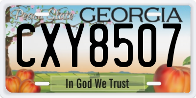 GA license plate CXY8507