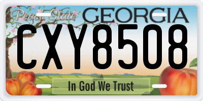 GA license plate CXY8508