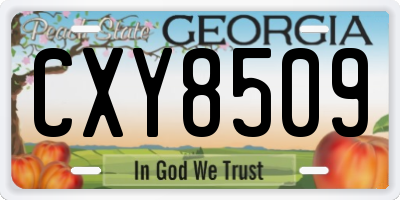 GA license plate CXY8509