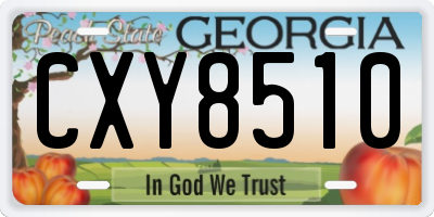 GA license plate CXY8510