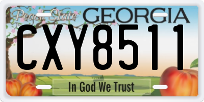 GA license plate CXY8511