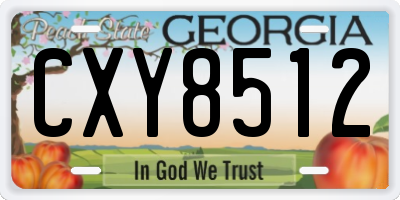 GA license plate CXY8512
