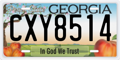 GA license plate CXY8514