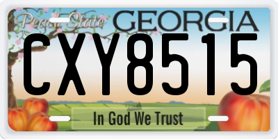 GA license plate CXY8515