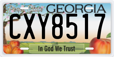 GA license plate CXY8517