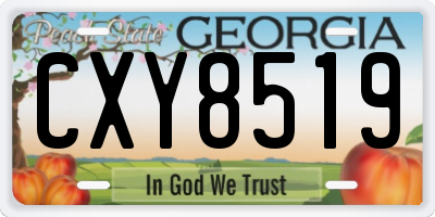 GA license plate CXY8519