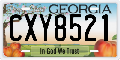 GA license plate CXY8521