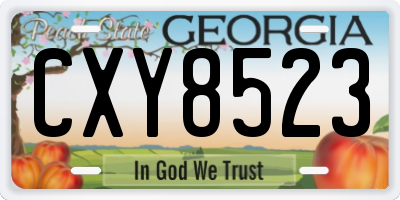 GA license plate CXY8523