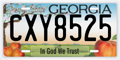 GA license plate CXY8525
