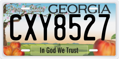 GA license plate CXY8527