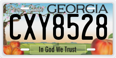 GA license plate CXY8528