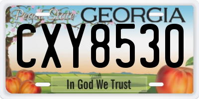 GA license plate CXY8530