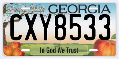 GA license plate CXY8533