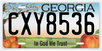 GA license plate CXY8536