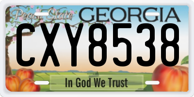 GA license plate CXY8538