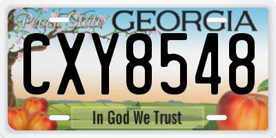 GA license plate CXY8548