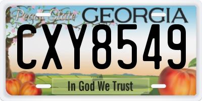 GA license plate CXY8549