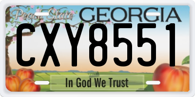 GA license plate CXY8551