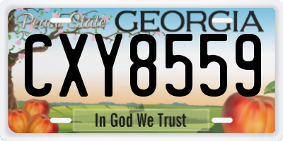 GA license plate CXY8559