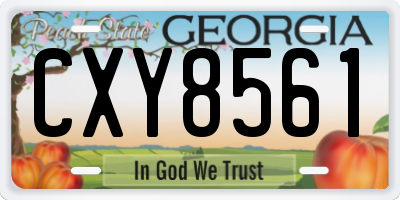GA license plate CXY8561