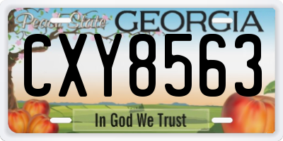 GA license plate CXY8563