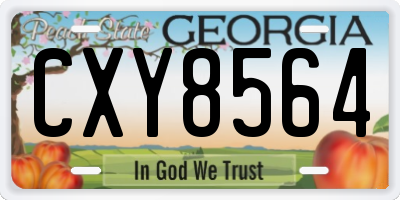 GA license plate CXY8564