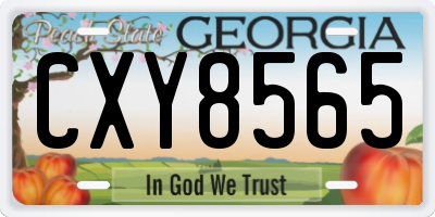GA license plate CXY8565