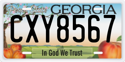 GA license plate CXY8567