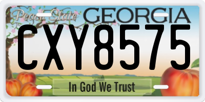 GA license plate CXY8575