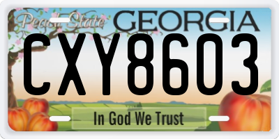 GA license plate CXY8603