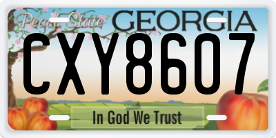 GA license plate CXY8607