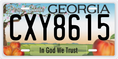 GA license plate CXY8615