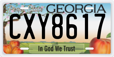 GA license plate CXY8617